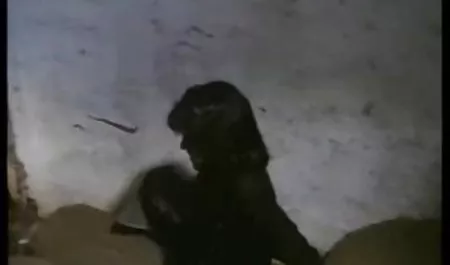 کیوکو داستان هاي سكسي تصويري جديد کورودا