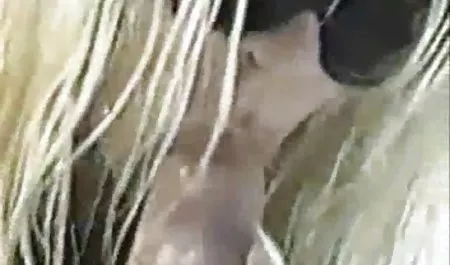 منشی بلوند شگفت انگیز نوازش و بازی داستان های تصویری سکس با dildo در میز او