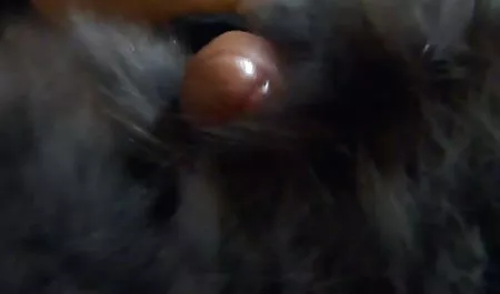 marocain سایت داستان های سکسی تصویری whit kaliiji